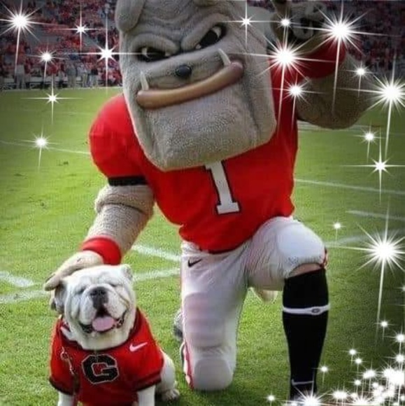 Meet your Posher, Alvin - Picture 1 of 1